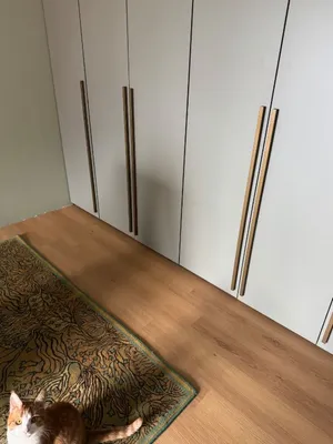 Анастасия Панфилова