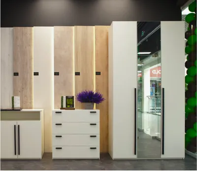 Какой шкаф выбрать в прихожую: создаем функциональное и красивое пространство