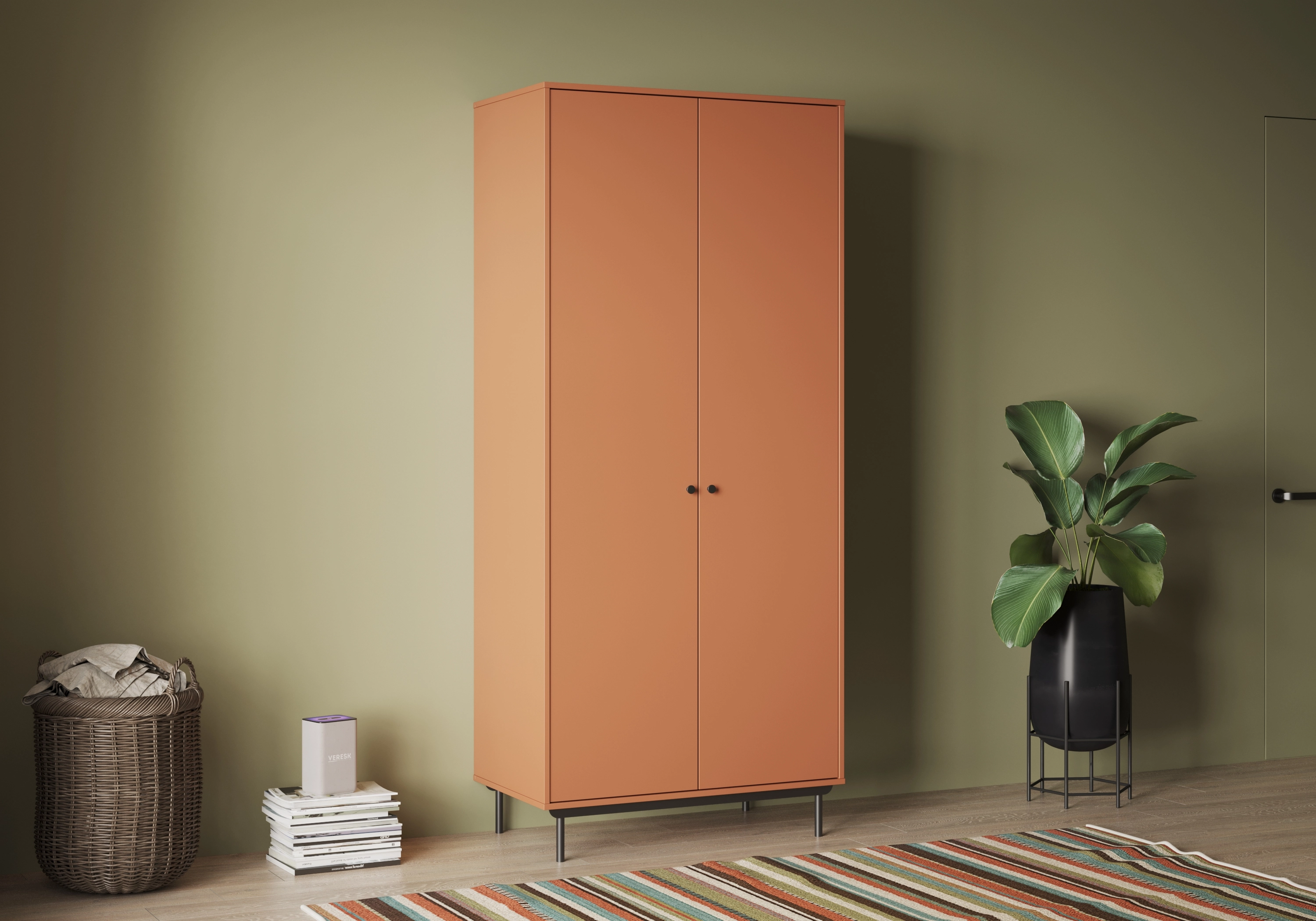 Распашной шкаф Истман-2 Флекс