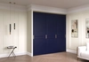 Шкаф-купе встроенный Карини-3-3 - фото №1