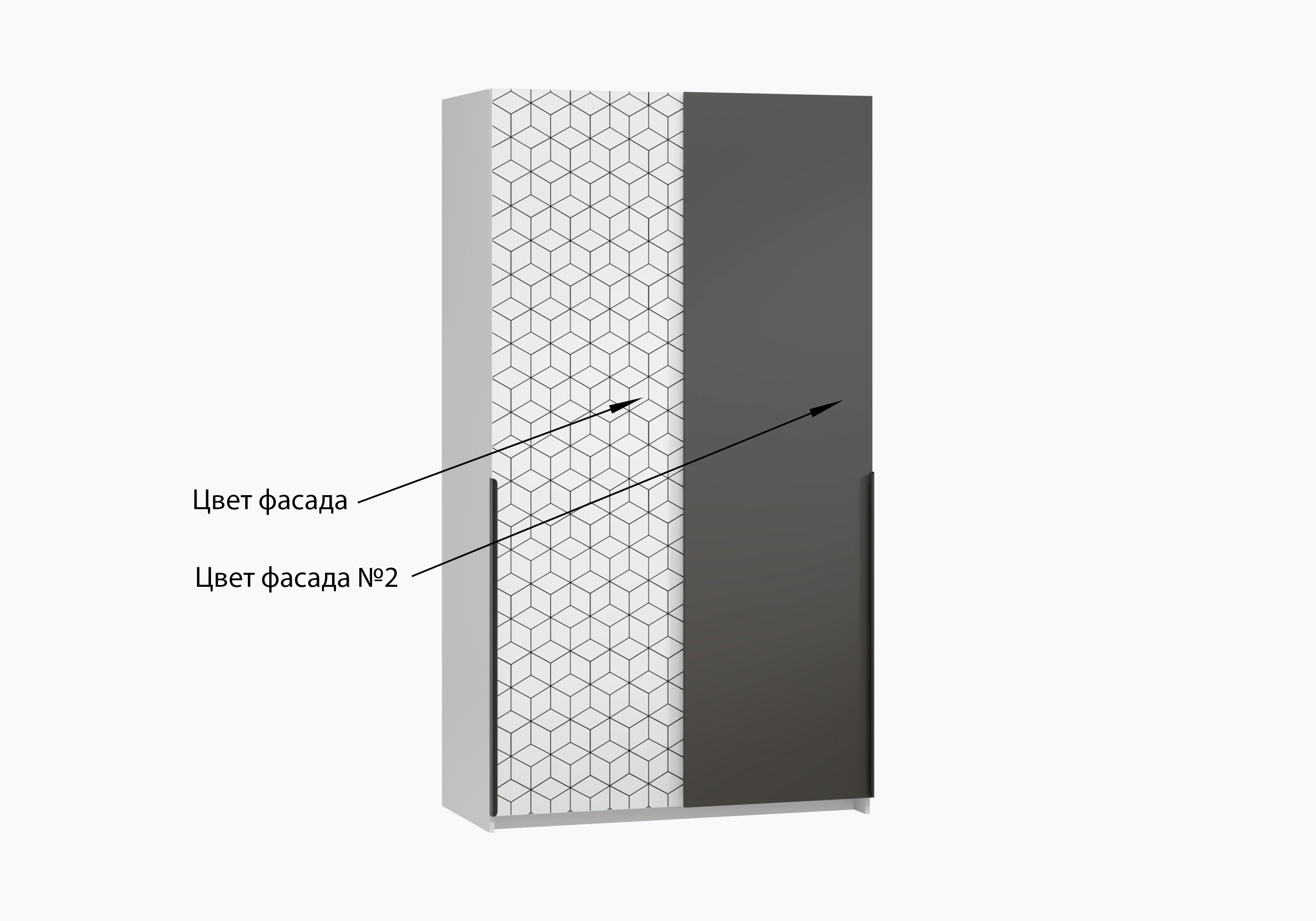 Шкаф-купе Салленс-2-3 Декор 2