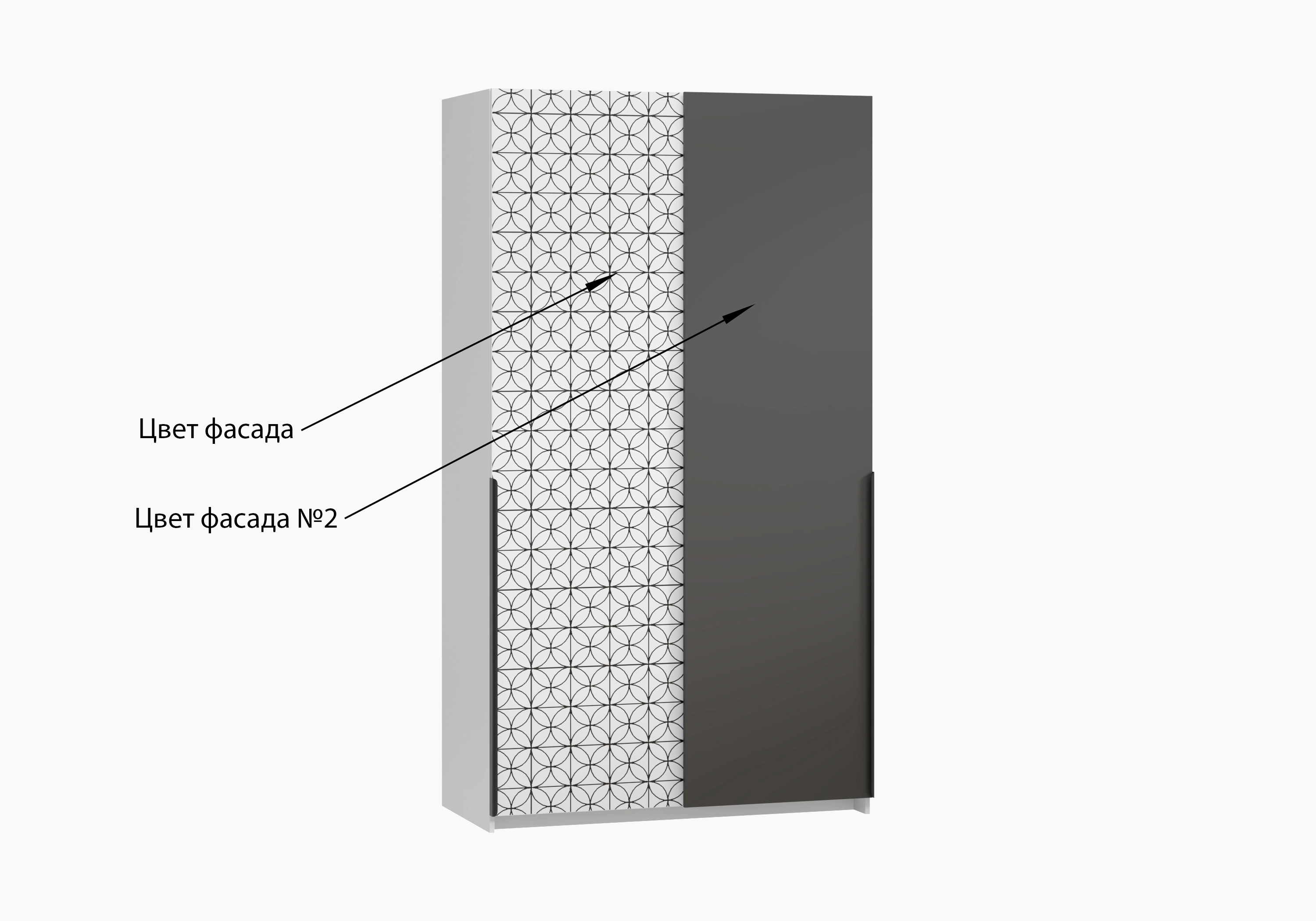 Шкаф-купе Салленс-2-3 Декор 3