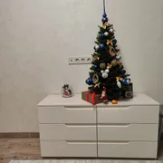 Минифото к отзыву Лариса от 28.12.2024