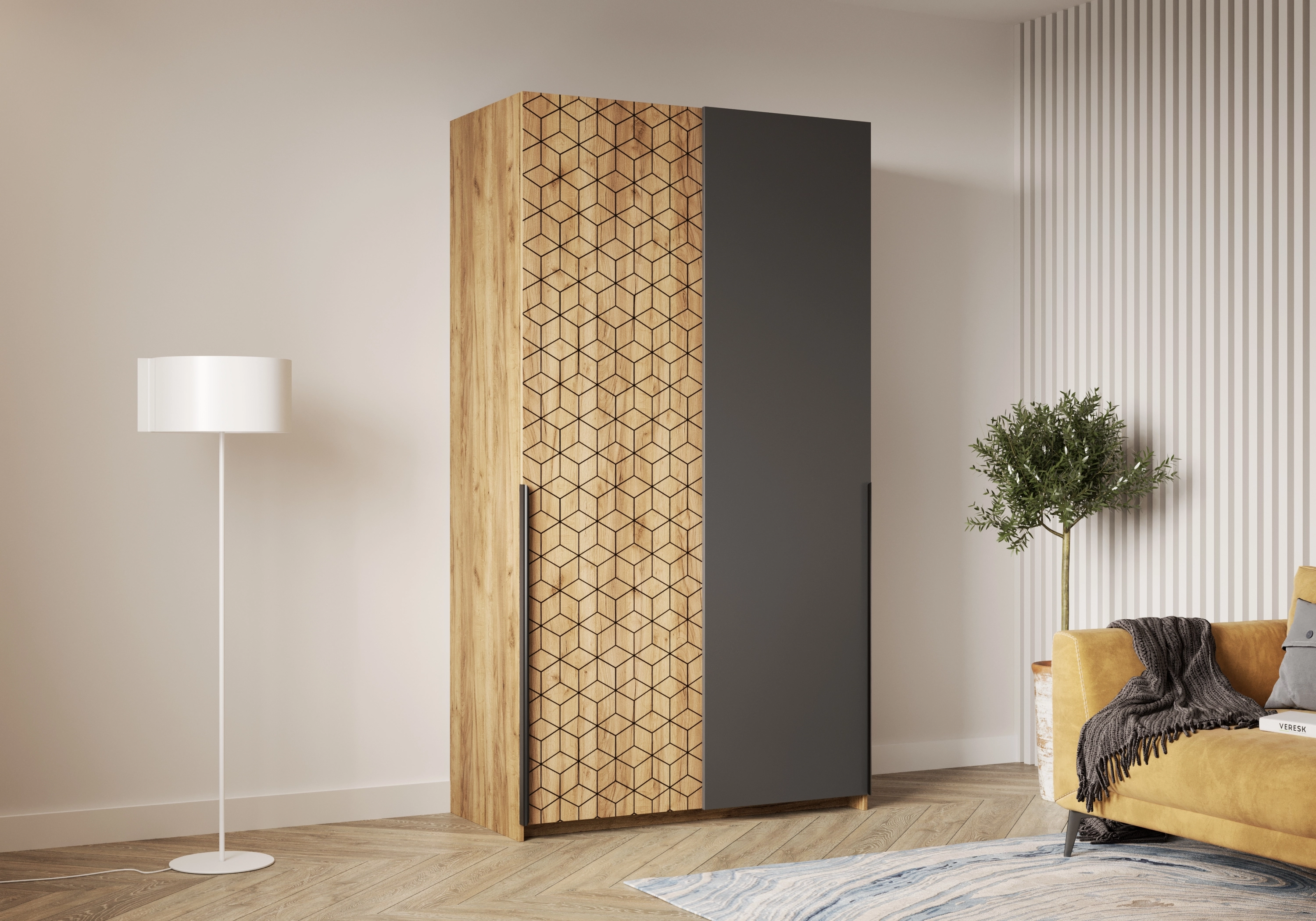 Шкаф-купе Салленс-2-3 Декор 2