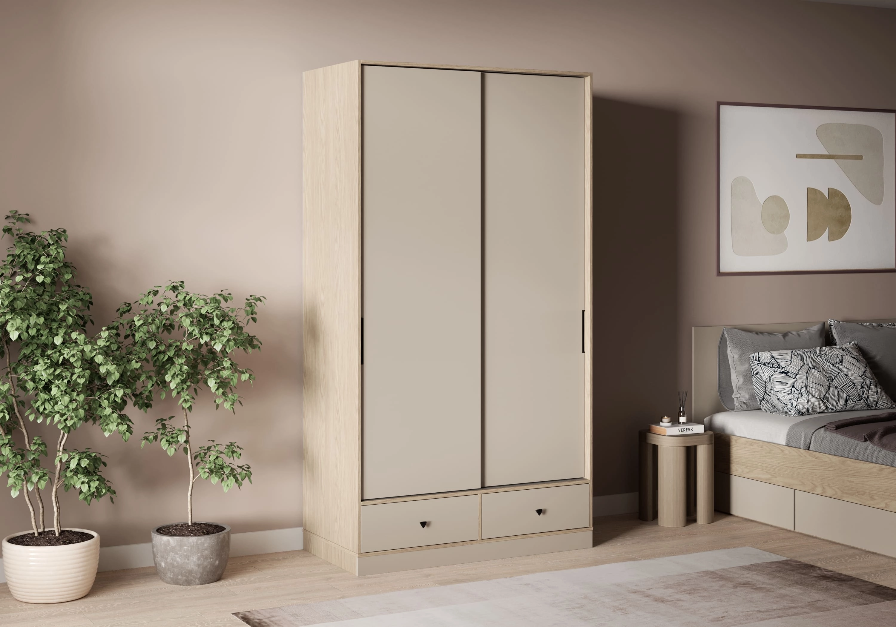 Шкаф-купе Виггинс-2