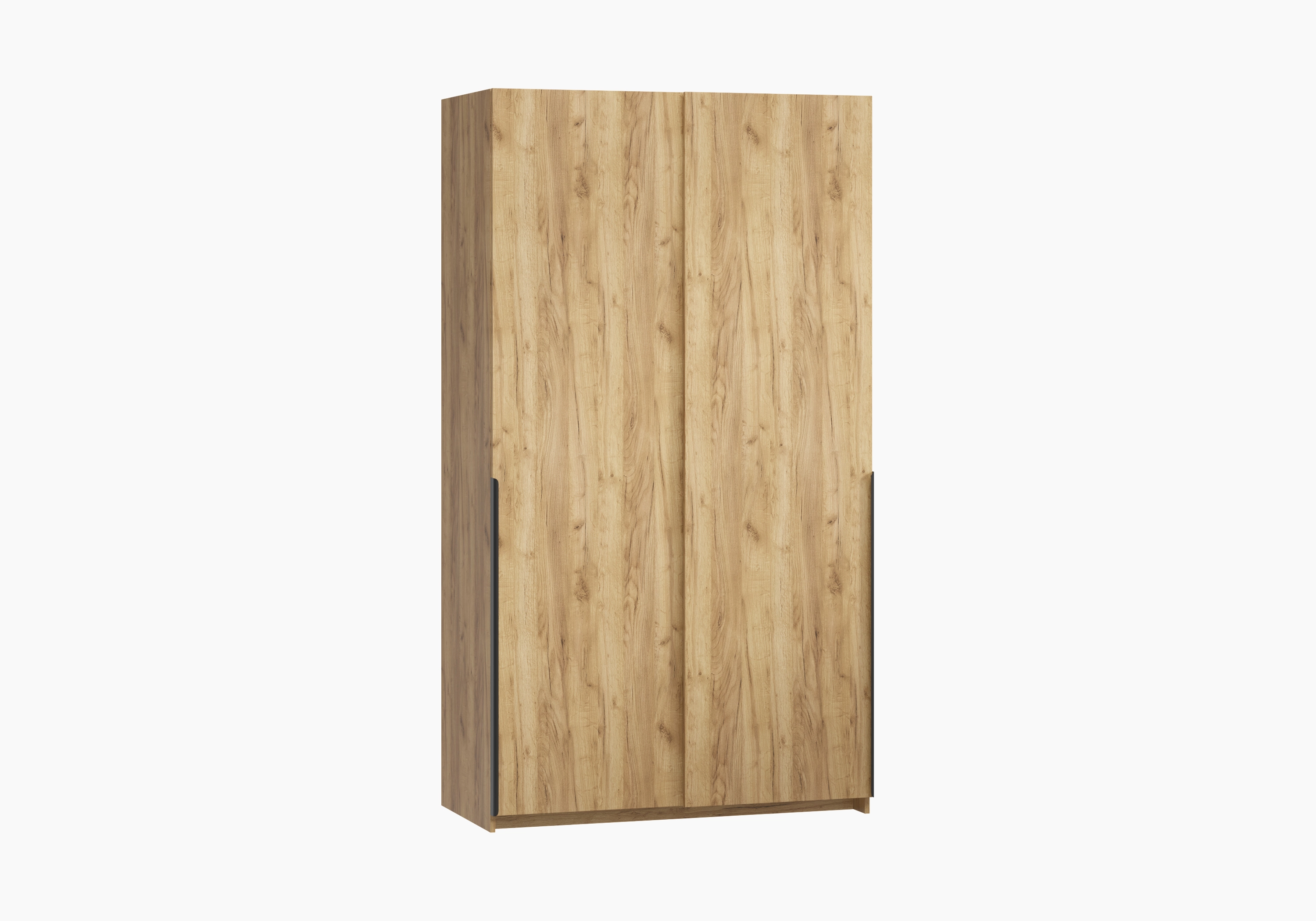 Шкаф-купе Салленс-2-1