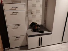 Минифото к отзыву Мзия от 04.01.2026