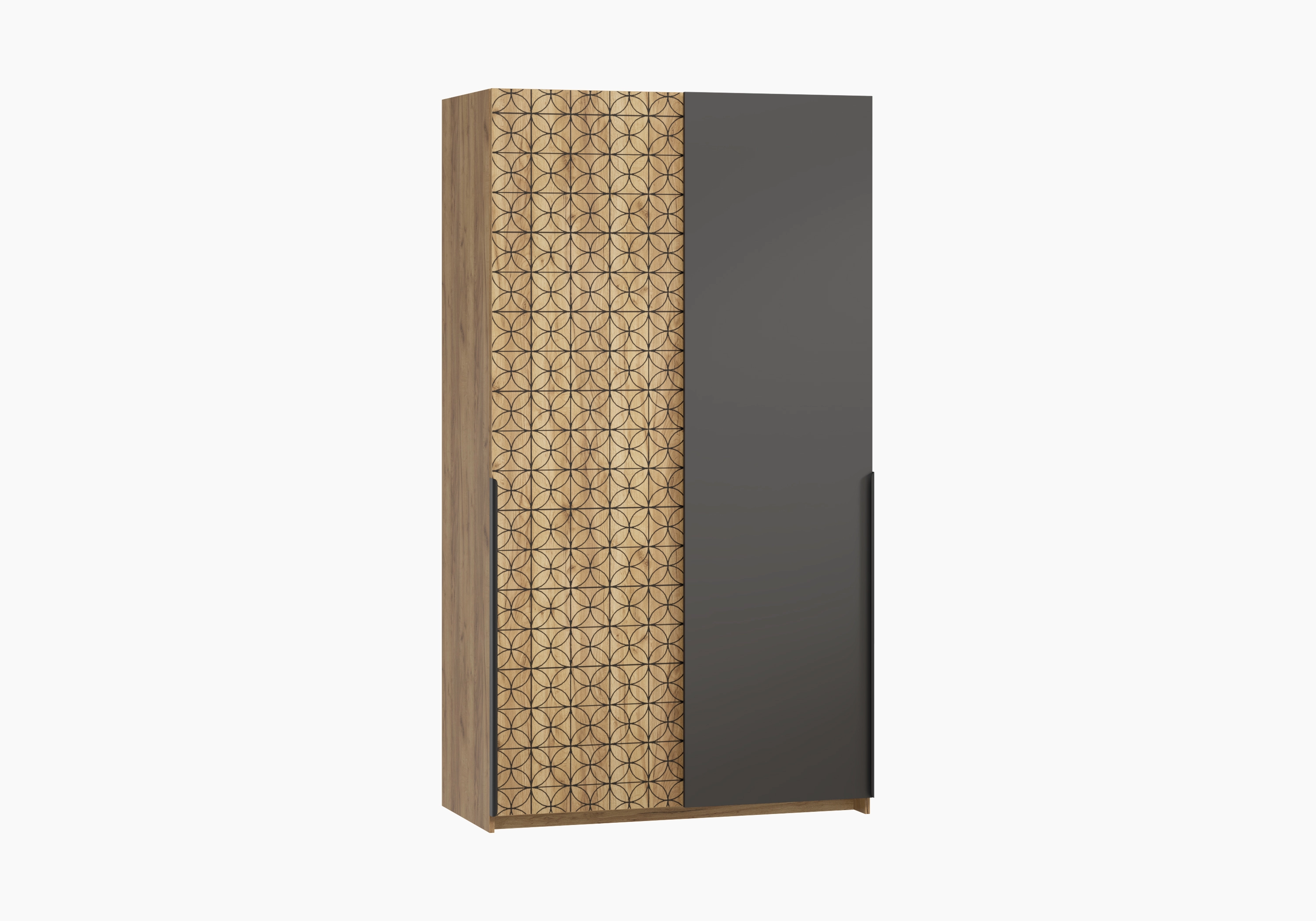 Шкаф-купе Салленс-2-3 Декор 3