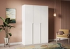 Распашной шкаф Ронкола-3 - фото №1